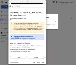 Confirm Google account permissions to finish connecting.