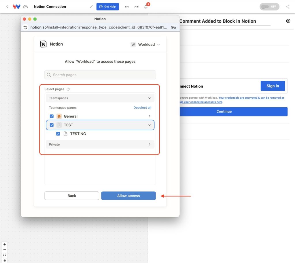 Page selection window showing General, TEST, and TESTING checked, with Allow access highlighted.